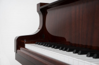 Рояль Petrof P 173 Breeze-0051 3 – techzone.com.ua Рояль Petrof P 173 Breeze-0051 3 – techzone.com.ua