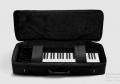 Expressive E soft case EE49 Gig Bag for Osmose 3 – techzone.com.ua