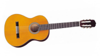 Акустическая классическая гитара Aria AK 20
