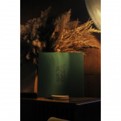 Вінілова платівка Various - Зелене (Green Vinyl, Limited) [LP] 3 – techzone.com.ua