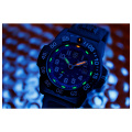 Мужские часы Luminox Navy SEAL XS.3503.F 4 – techzone.com.ua