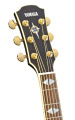 Гітара YAMAHA CPX1000 (Translucent Black) 3 – techzone.com.ua