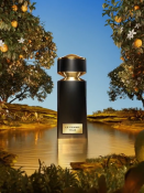 Bvlgari Le Gemme Tygar Парфумована вода для чоловіків 125 мл 7 – techzone.com.ua Bvlgari Le Gemme Tygar Парфумована вода для чоловіків 125 мл 7 – techzone.com.ua