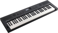 Синтезатор Roland GO:KEYS-5-GT графіт