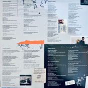 Виниловая пластинка Lady Gaga - Joanne (Deluxe Edition) [2LP] 9 – techzone.com.ua