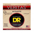 DR Strings VERITAS Coated Core Acoustic Guitar Strings - Custom Light (11-50) 1 – techzone.com.ua