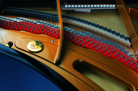 Рояль Petrof P284-Mistral-0801 5 – techzone.com.ua Рояль Petrof P284-Mistral-0801 5 – techzone.com.ua