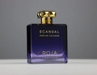 Roja Parfums Scandal Pour Homme Parfum Одеколон 100 мл 5 – techzone.com.ua