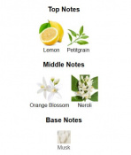 Louis Vuitton Sun Song Парфумована вода унісекс 100 мл тестер 7 – techzone.com.ua