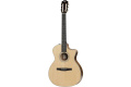 TAYLOR GUITARS 214CE-N ROSEWOOD Гитара электроакустическая 1 – techzone.com.ua