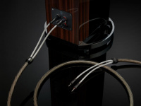 Кабель QED SUPREMUS Zr SPEAKER CABLE 3M QE0014 4 – techzone.com.ua Кабель QED SUPREMUS Zr SPEAKER CABLE 3M QE0014 4 – techzone.com.ua