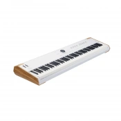 Синтезатор Arturia AstroLab 88 + V Collection X 4 – techzone.com.ua