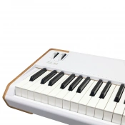 Синтезатор Arturia AstroLab 88 4 – techzone.com.ua