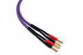 Акустичний кабель Melodika MDSC4030 Purple 2x4,0 мм² (3m) 3 – techzone.com.ua