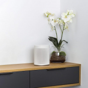 Моноблочна акустична система Yamaha MusicCast WX-021 White 8 – techzone.com.ua