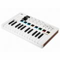 MIDI-клавіатура Arturia MiniLab 3 White + Arturia Analog Lab V 3 – techzone.com.ua