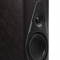 Акустика Sonus Faber Duetto Graphite 5 – techzone.com.ua