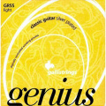 Струны для классической гитары Galli Genius PROcoated GR55 C (22-48) Light Tension – techzone.com.ua