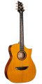 Гітара CORT LUXE II (Natural Glossy) 1 – techzone.com.ua