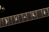 PRS SE Hollowbody Standard (McCarty Tobacco Sunburst) 5 – techzone.com.ua PRS SE Hollowbody Standard (McCarty Tobacco Sunburst) 5 – techzone.com.ua
