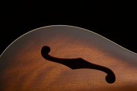 PRS SE Hollowbody Standard (McCarty Tobacco Sunburst) 7 – techzone.com.ua PRS SE Hollowbody Standard (McCarty Tobacco Sunburst) 7 – techzone.com.ua