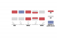 IBANEZ RG652AHMFX RPB Електрогітара 9 – techzone.com.ua IBANEZ RG652AHMFX RPB Електрогітара 9 – techzone.com.ua