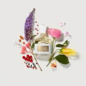 Creed Discovery Set Ladies Mini Set Gift Набір для жінок 5х10 мл 5 – techzone.com.ua Creed Discovery Set Ladies Mini Set Gift Набір для жінок 5х10 мл 5 – techzone.com.ua