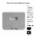Акустична система Audio Pro A15 Light Grey 8 – techzone.com.ua