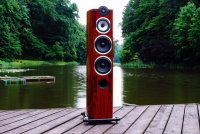 Акустические колонки Taga Harmony Platinum F-100SE Rosewood Veneer with Clear Gloss Piano Lacquer 4 – techzone.com.ua Акустические колонки Taga Harmony Platinum F-100SE Rosewood Veneer with Clear Gloss Piano Lacquer 4 – techzone.com.ua