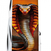 Складной нож Victorinox CLIMBER ZODIAC Пламенная кобра 1.3703.Z4250pk 5 – techzone.com.ua Складной нож Victorinox CLIMBER ZODIAC Пламенная кобра 1.3703.Z4250pk 5 – techzone.com.ua