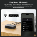 WiFi Music Streamer Arylic S10+ Wireless Mini Stereo Preamplifier 2 – techzone.com.ua