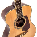 Акустическая гитара (набор) VINTAGE V300 NOFT 4 – techzone.com.ua