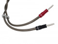 Кабель CHORD EpicXL Speaker Cable 2m terminated pair 2 – techzone.com.ua