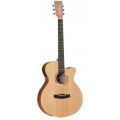 TANGLEWOOD TR4 CE 1 – techzone.com.ua