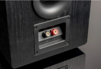 Акустична система SVS Prime Pinnacle Tower Piano Gloss 5 – techzone.com.ua Акустична система SVS Prime Pinnacle Tower Piano Gloss 5 – techzone.com.ua