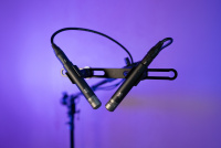 Мікрофон Slate Digital ML-2A (стереопара) 3 – techzone.com.ua