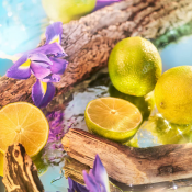 Roja Oceania Парфумована вода унісекс 100 мл 3 – techzone.com.ua Roja Oceania Парфумована вода унісекс 100 мл 3 – techzone.com.ua