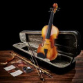 Donner Music Eastar EVA-330 4/4 Solid Wood Violin Set With Two Bow EB 0217 3 – techzone.com.ua