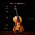 Donner Music Eastar EVA-330 4/4 Solid Wood Violin Set With Two Bow EB 0217 5 – techzone.com.ua