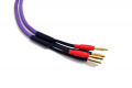 Кабель Melodika MDSC1520 Purple Speaker cable 1,5mm2 - 2m 3 – techzone.com.ua