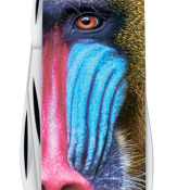 Складной нож Victorinox TINKER ANIMAL Обезьяна Мандрил 1.4603.3.F1070pw 3 – techzone.com.ua Складной нож Victorinox TINKER ANIMAL Обезьяна Мандрил 1.4603.3.F1070pw 3 – techzone.com.ua