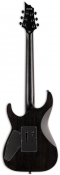 LTD H-1001FR BP (Black Natural Burst) 2 – techzone.com.ua LTD H-1001FR BP (Black Natural Burst) 2 – techzone.com.ua