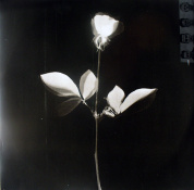 Виниловая пластинка Depeche Mode: Violator 6 – techzone.com.ua Виниловая пластинка Depeche Mode: Violator 6 – techzone.com.ua