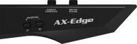 Синтезатор Roland AXEDGE Black 2 – techzone.com.ua Синтезатор Roland AXEDGE Black 2 – techzone.com.ua