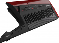 Синтезатор Roland AXEDGE Black 5 – techzone.com.ua Синтезатор Roland AXEDGE Black 5 – techzone.com.ua