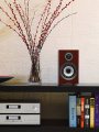 Фронтальные акустические колонки Bowers & Wilkins 706 S2 Rosenut 7 – techzone.com.ua