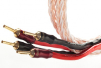 Комплект акустических кабелей Taga Harmony Platinum-18 OFC Braided Speaker Cable with Banana Plugs 2шт по 2,5 м 2 – techzone.com.ua Комплект акустических кабелей Taga Harmony Platinum-18 OFC Braided Speaker Cable with Banana Plugs 2шт по 2,5 м 2 – techzone.com.ua