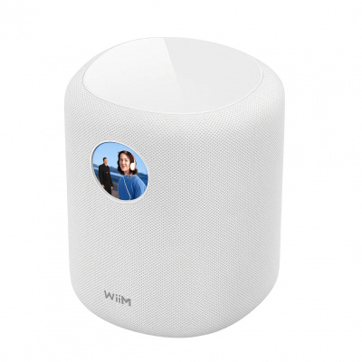 Смарт-колонка WiiM Sound White – techzone.com.ua