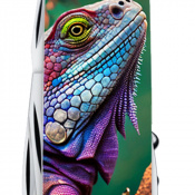 Складной нож Victorinox CAMPER ANIMAL Хамелеон 1.3613.3.F1020pw 3 – techzone.com.ua Складной нож Victorinox CAMPER ANIMAL Хамелеон 1.3613.3.F1020pw 3 – techzone.com.ua