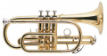 Корнет J.MICHAEL CT420(S) Cornet Bb – techzone.com.ua